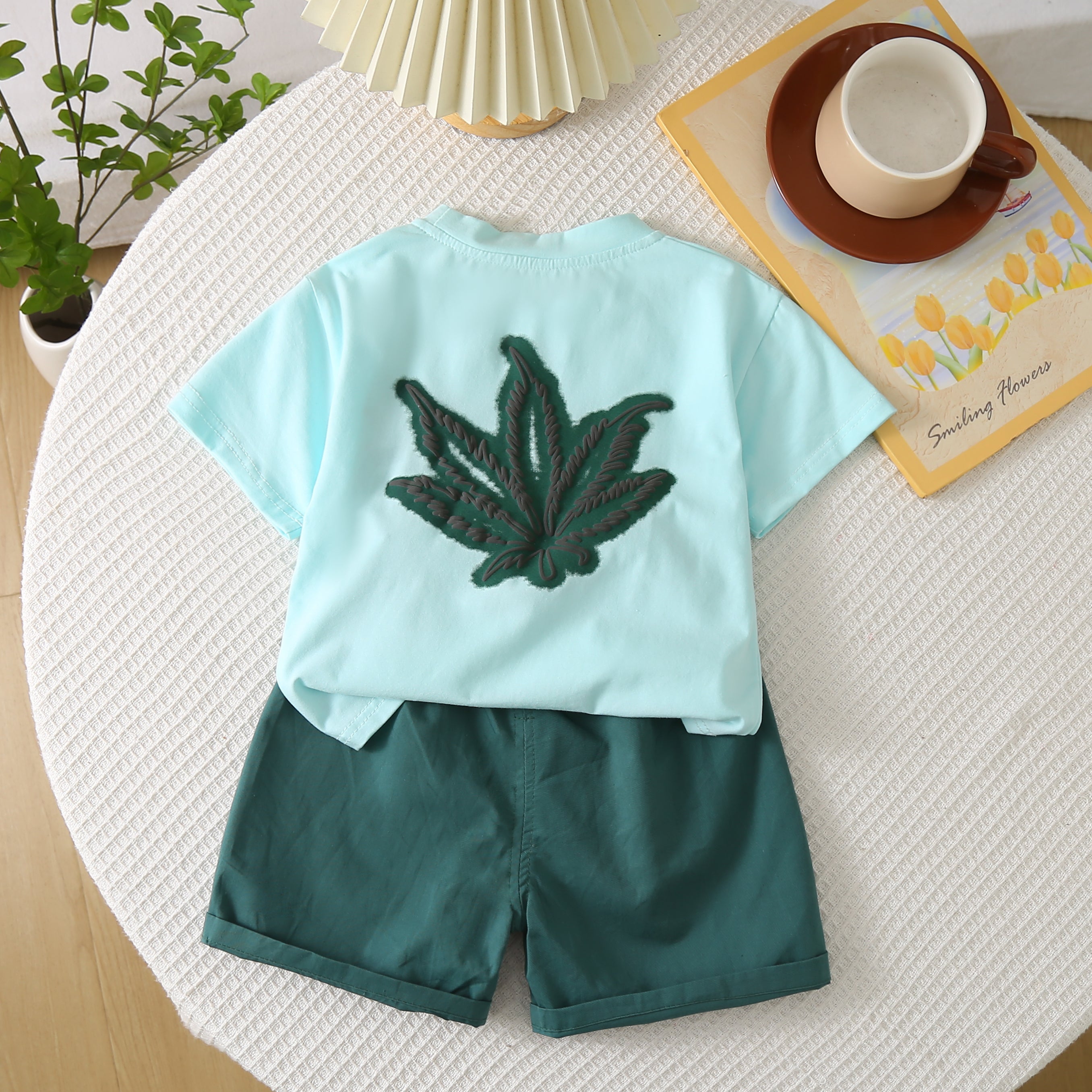 Solid T-shirt and Shorts Set