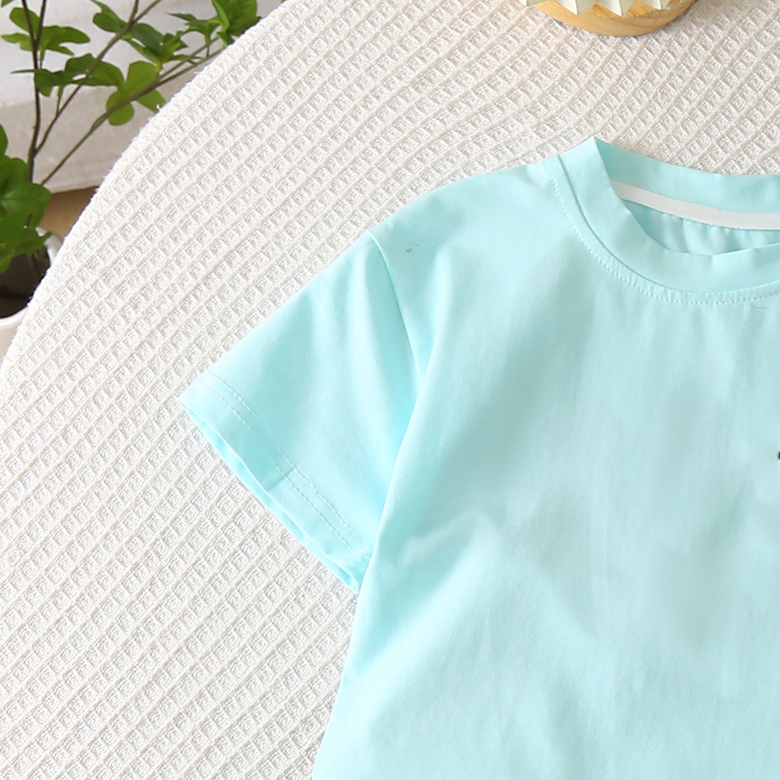 Solid T-shirt and Shorts Set
