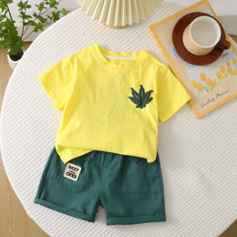 Solid T-shirt and Shorts Set
