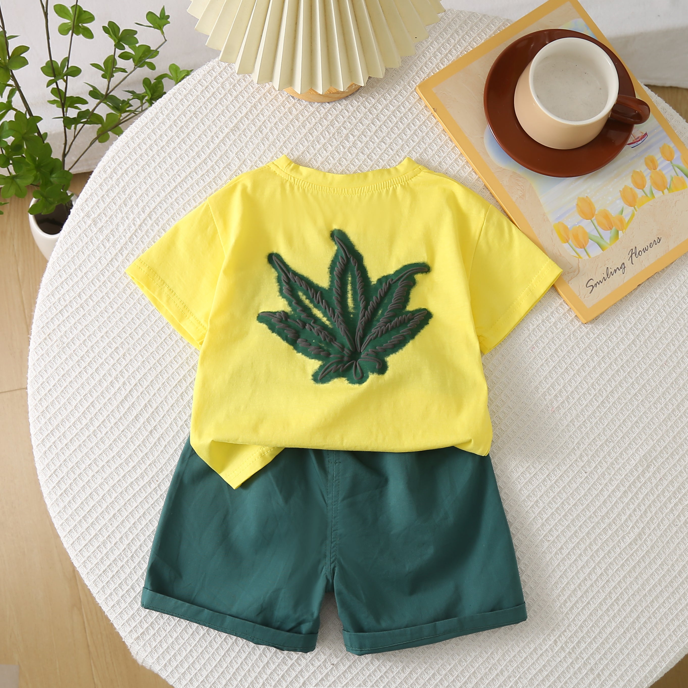 Solid T-shirt and Shorts Set