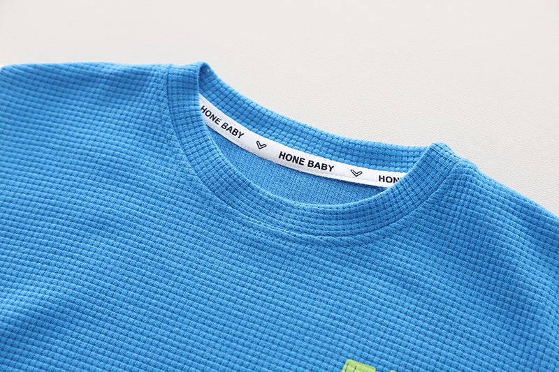 Boys Printed T-shirt with Shorts