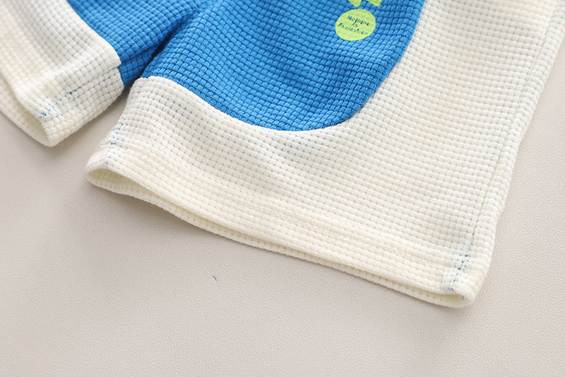 Boys Printed T-shirt with Shorts