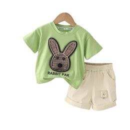 Boys Printed T-shirt with Shorts