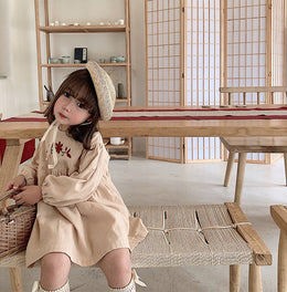 Girls Embroidered A-Line Dress