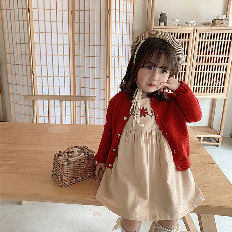 Girls Embroidered A-Line Dress