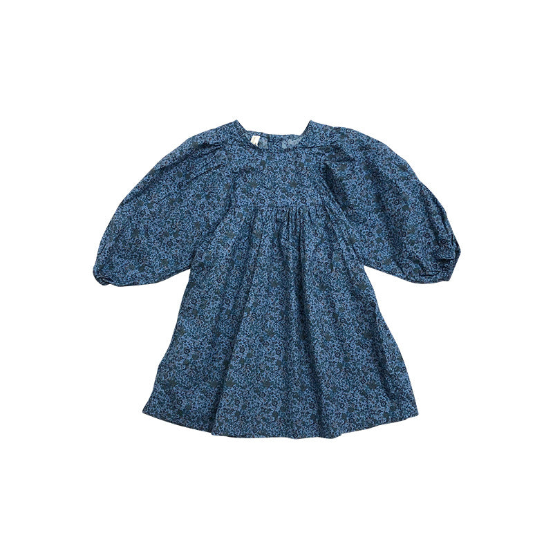 Girls Floral Printed Cotton A-Line Dress