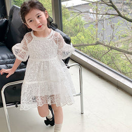 Embroidered Net A-Line Midi Dress