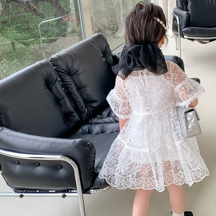 Embroidered Net A-Line Midi Dress