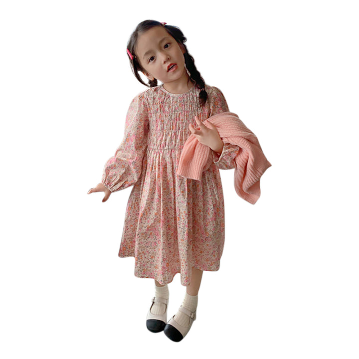 Floral Print Applique A-Line Dress