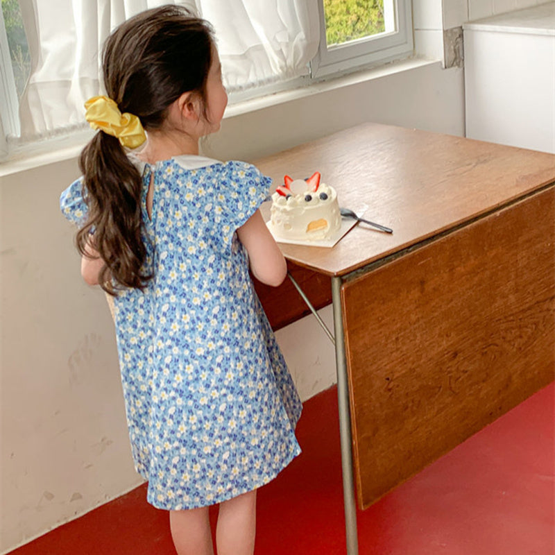Girls Floral Print Peter Pan Collar Flutter Sleeve A-Line Dress