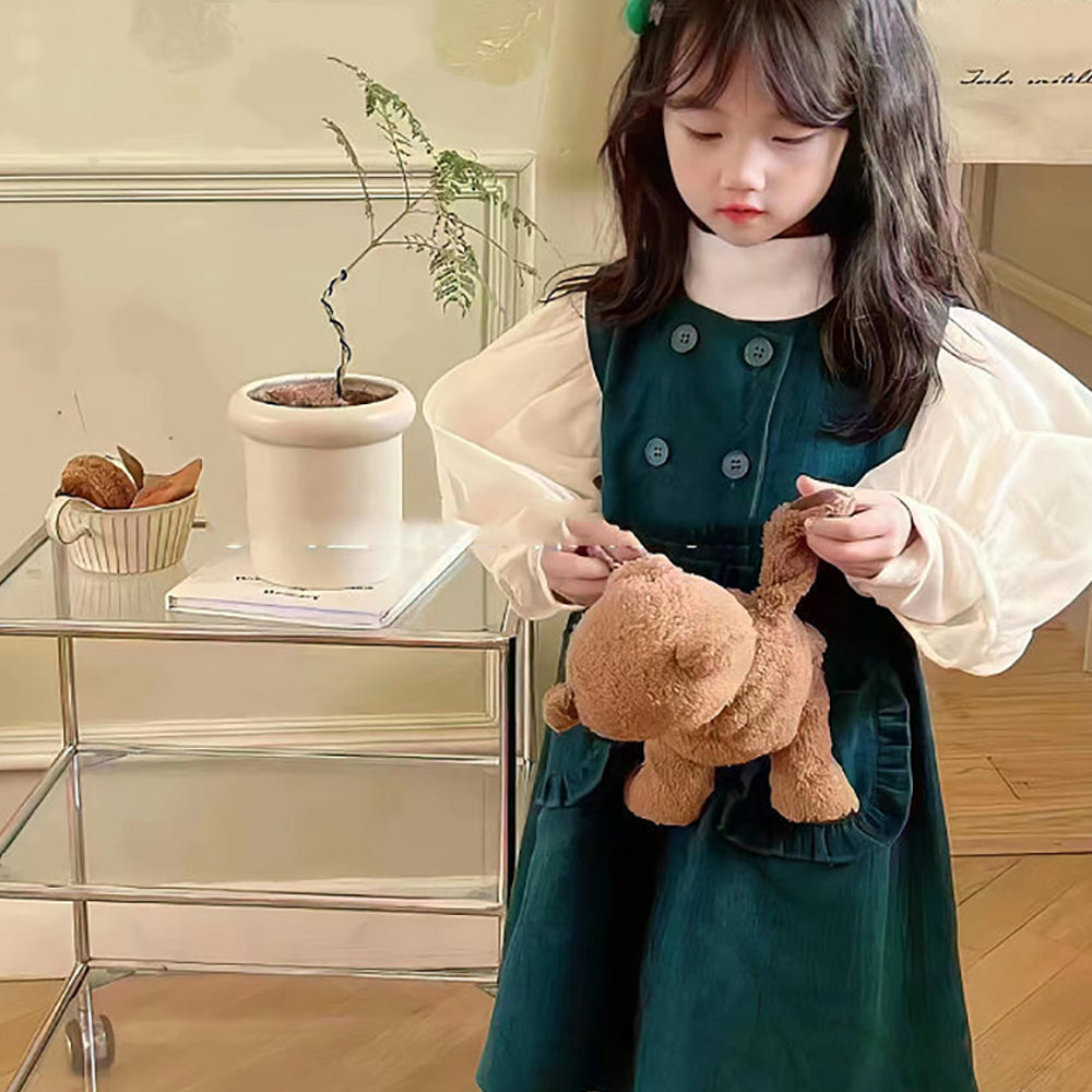 Girls Colourblocked A-Line Dress