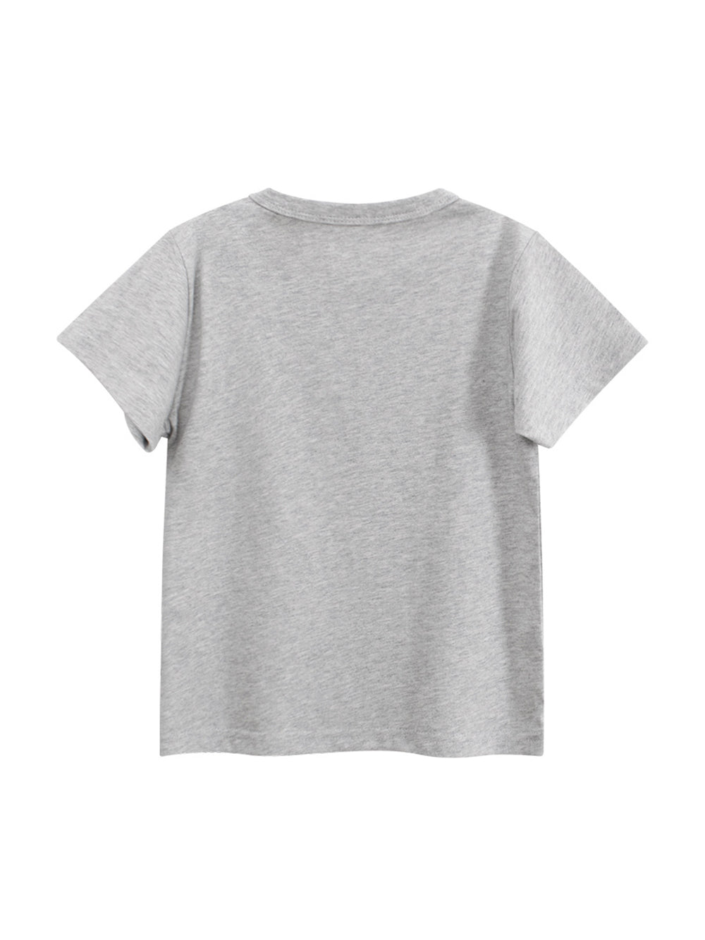 Regular Fit Round Neck Tshirt