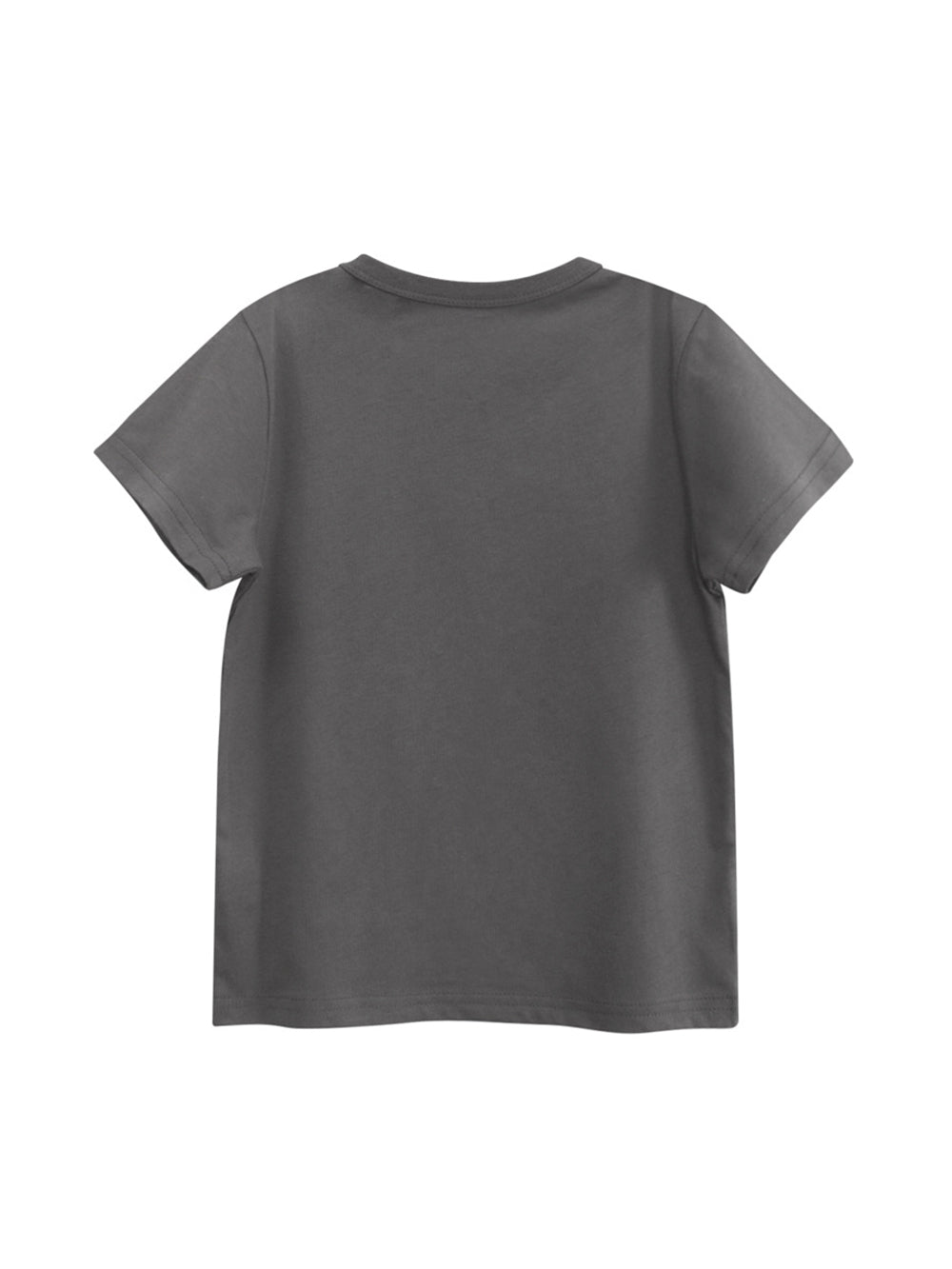 Regular Fit Round Neck Tshirt