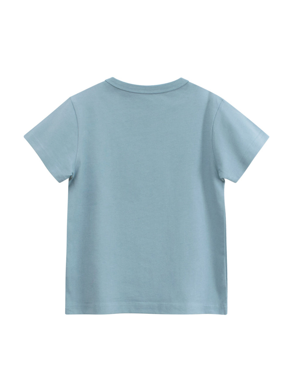 Regular Fit Round Neck Tshirt