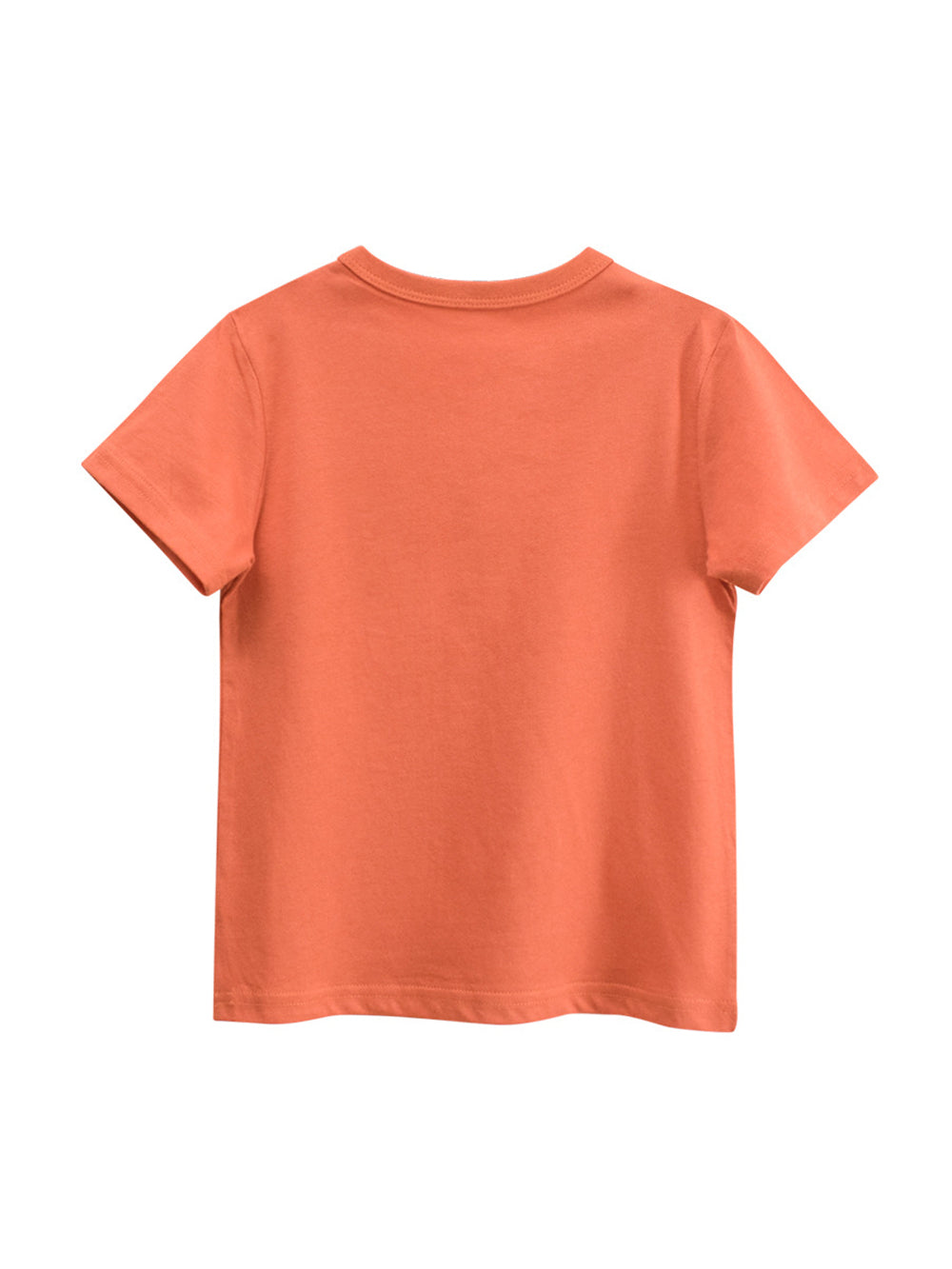 Regular Fit Round Neck Tshirt