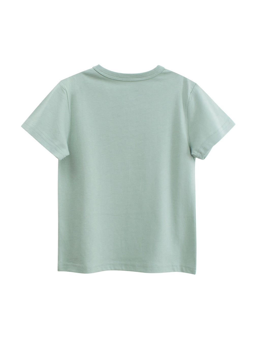 Regular Fit Round Neck Tshirt