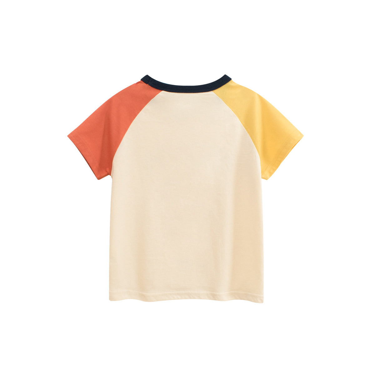 Boys Graphic Printed Round Neck Short Sleeves Cotton T-shirt