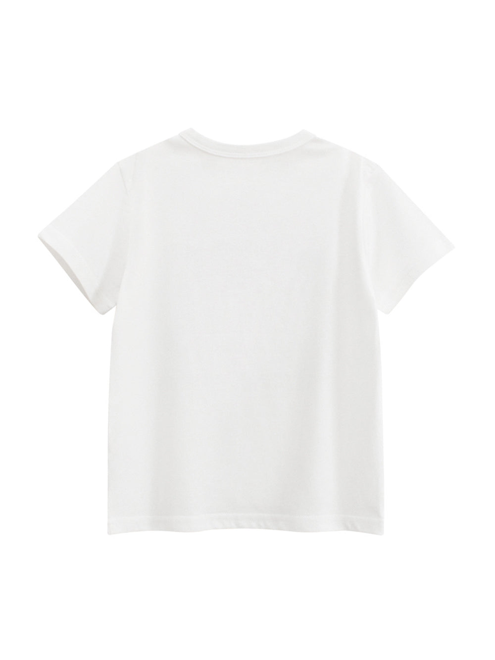Regular Fit Round Neck Tshirt