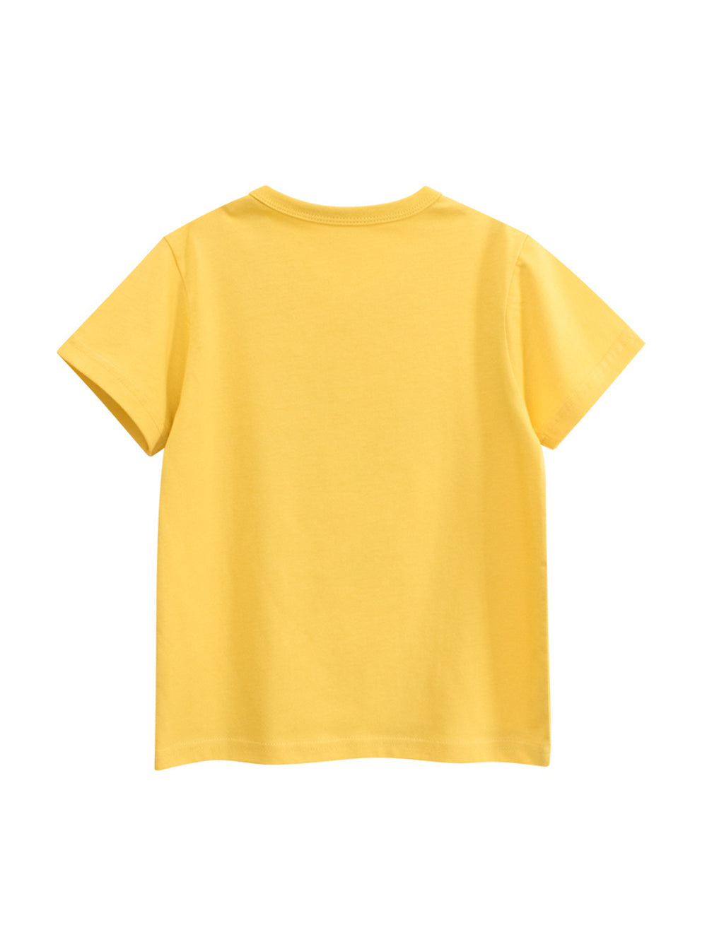 Regular Fit Round Neck Tshirt