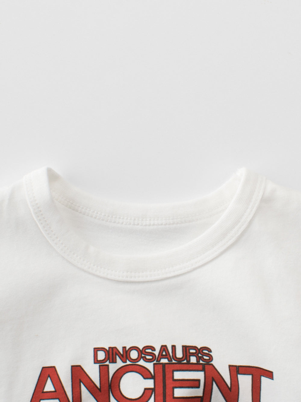 Regular Fit Round Neck Tshirt