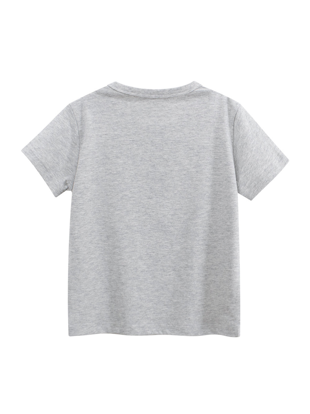 Regular Fit Round Neck Tshirt