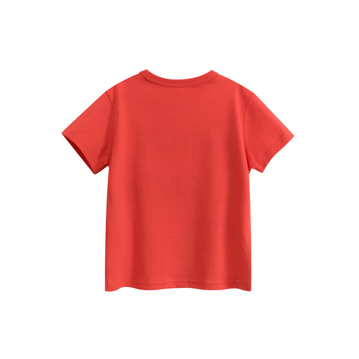 Boys Graphic Printed Round Neck Short Sleeves Cotton T-shirt