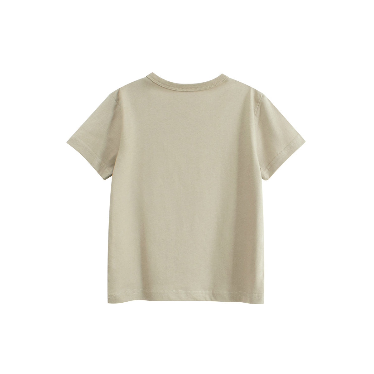 Boys Regular Fit T-shirt