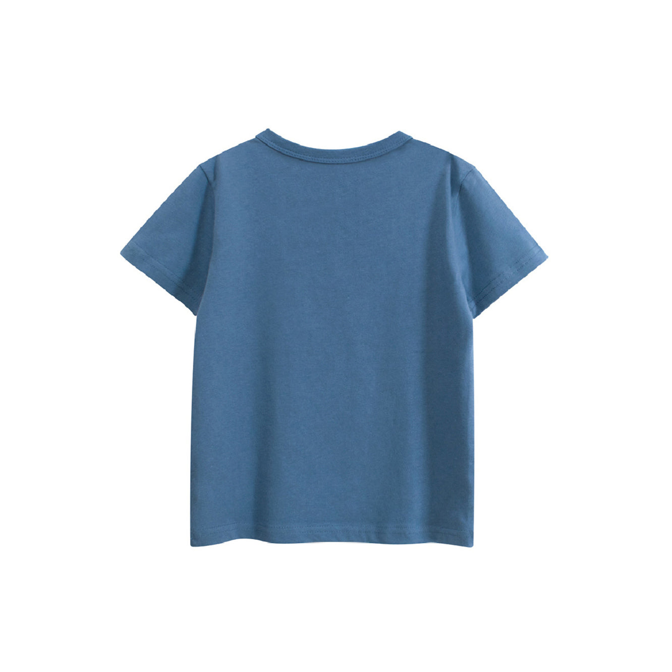 Boys Graphic Printed Round Neck Cotton Regular Fit T-shirt