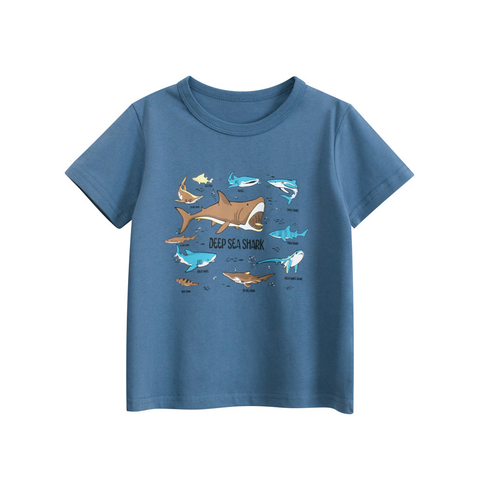 Boys Graphic Printed T-shirt