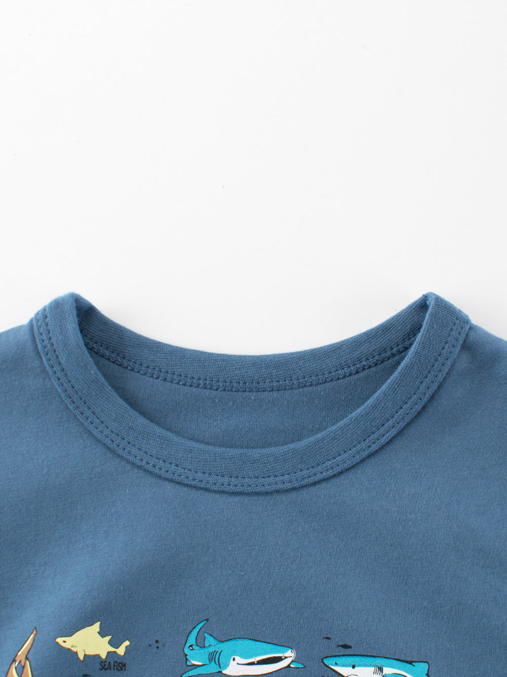 Boys Graphic Printed T-shirt