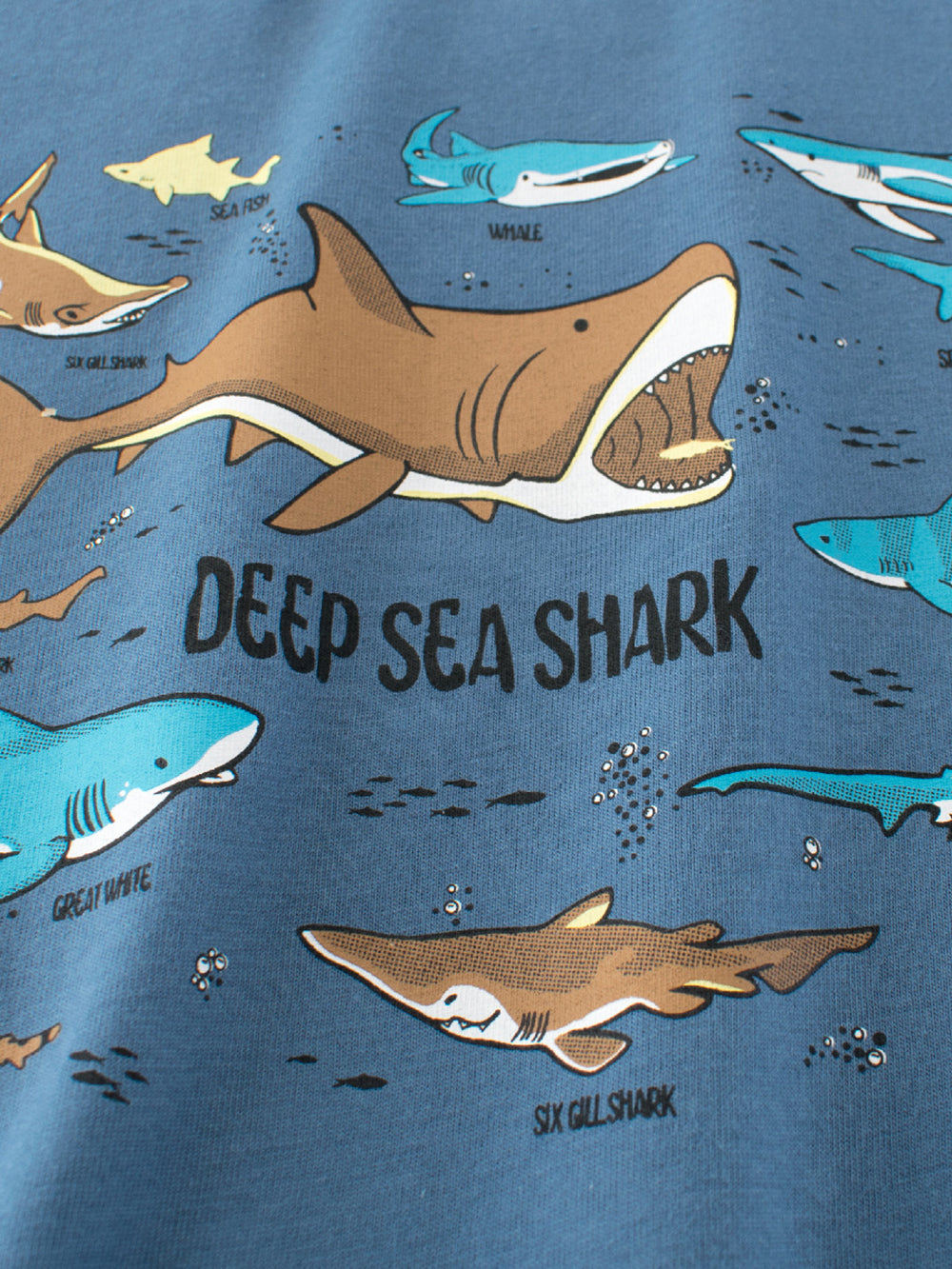 Boys Graphic Printed T-shirt