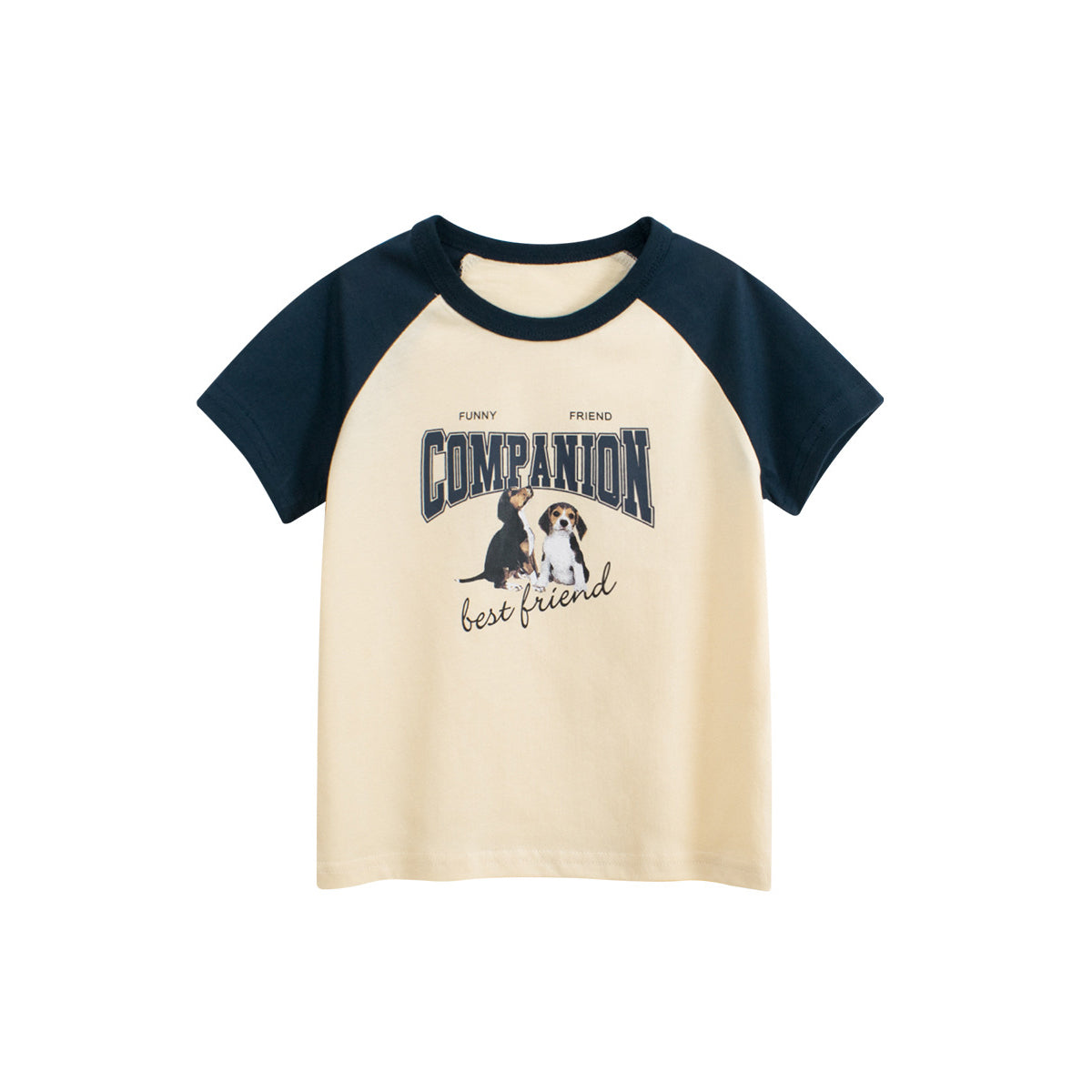 Boys Graphic Colourblocked Regular Fit T-shirt