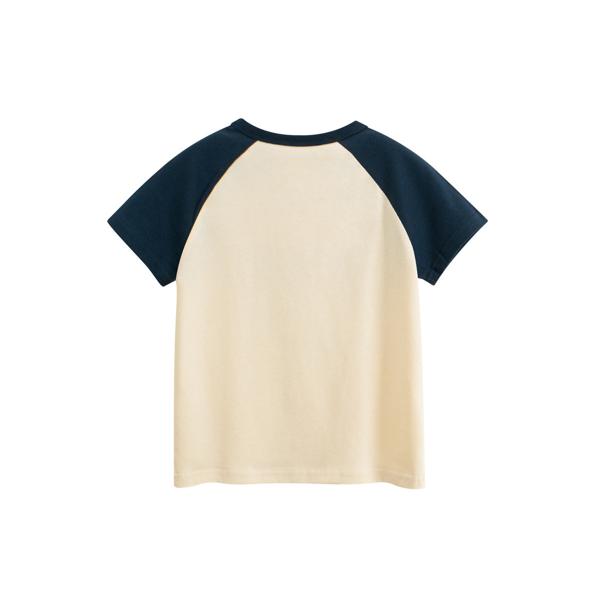 Boys Graphic Colourblocked Regular Fit T-shirt