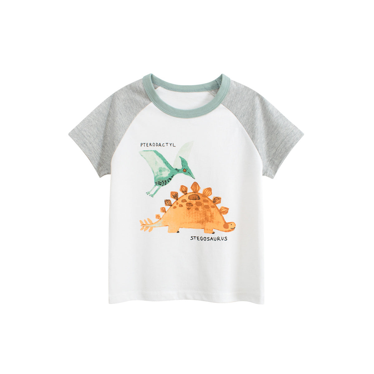 Boys Graphic Colourblocked Regular Fit T-shirt