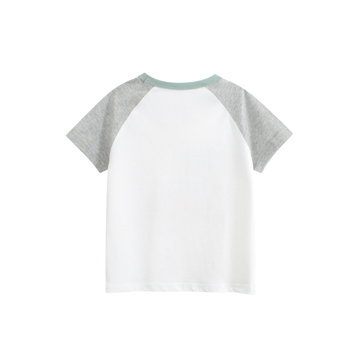 Boys Graphic Colourblocked Regular Fit T-shirt
