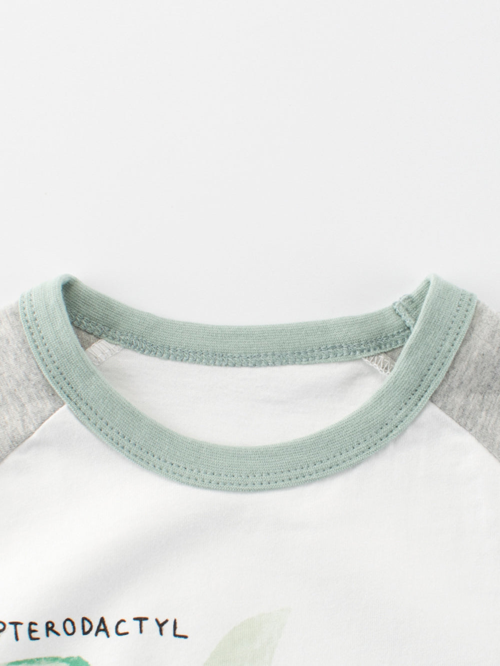Boys Graphic Colourblocked Regular Fit T-shirt