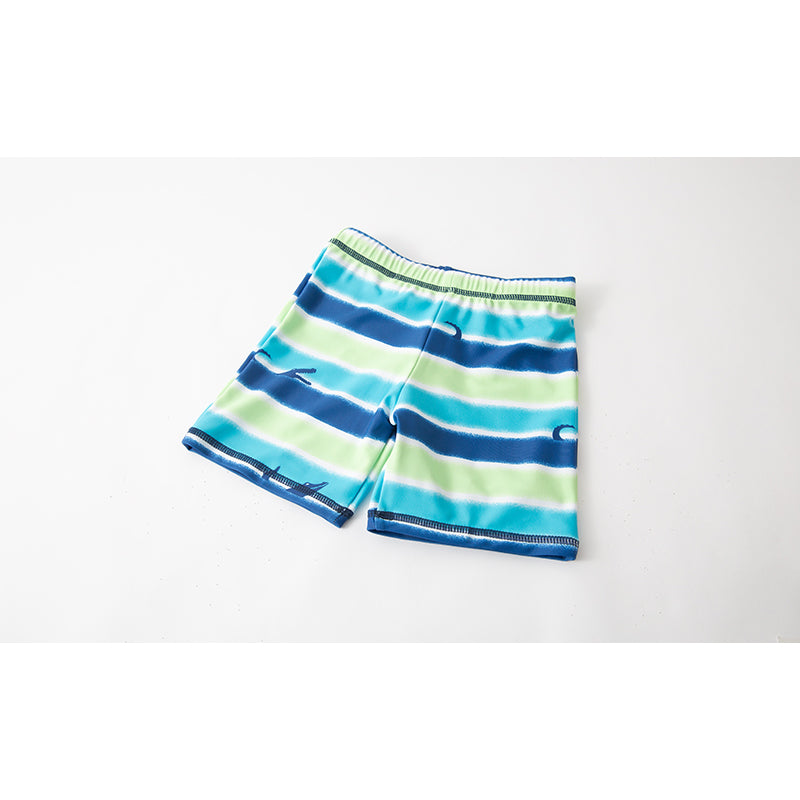 Blue & Green Boys Striped Swim Set With Cap