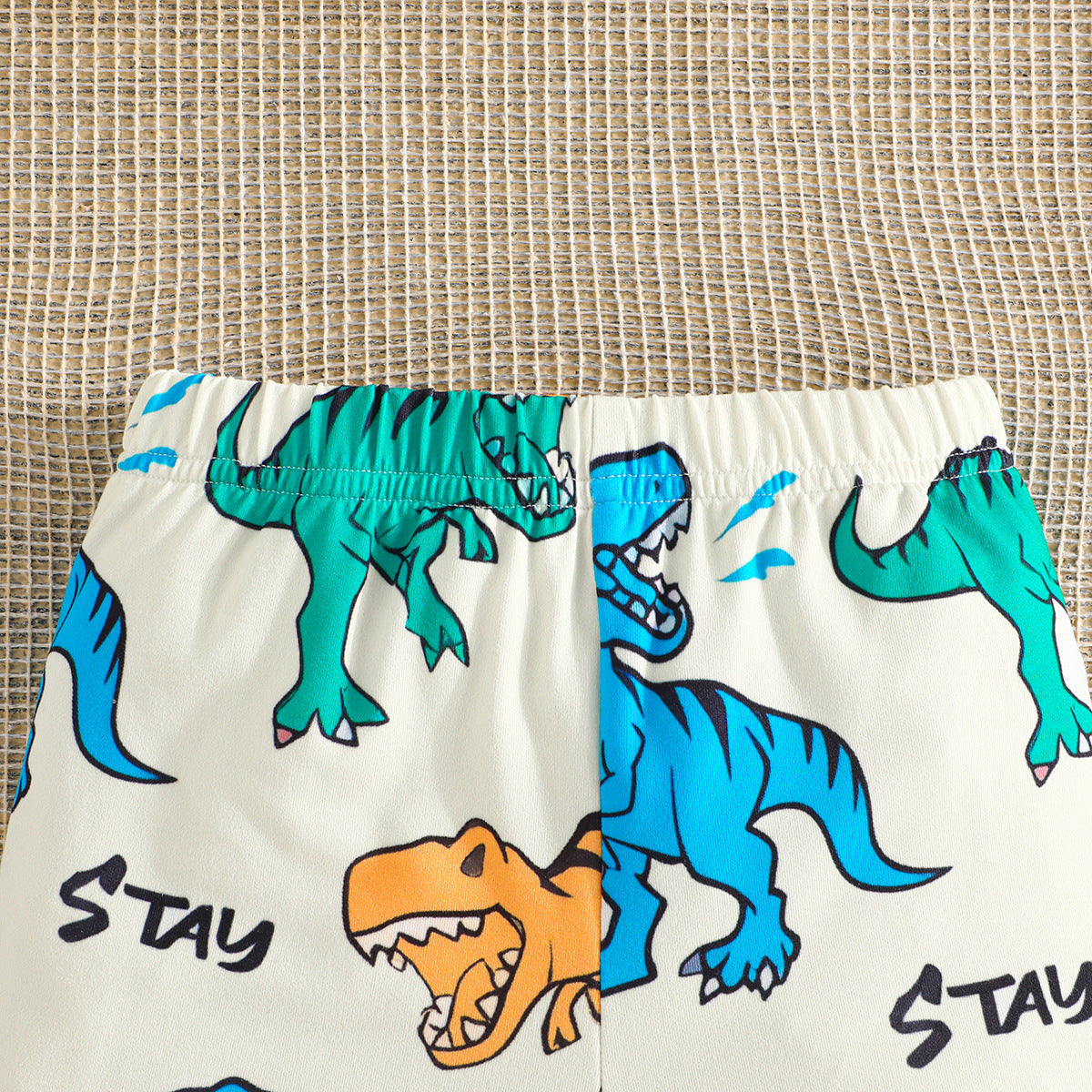 Boys Conversational Printed Top with Shorts