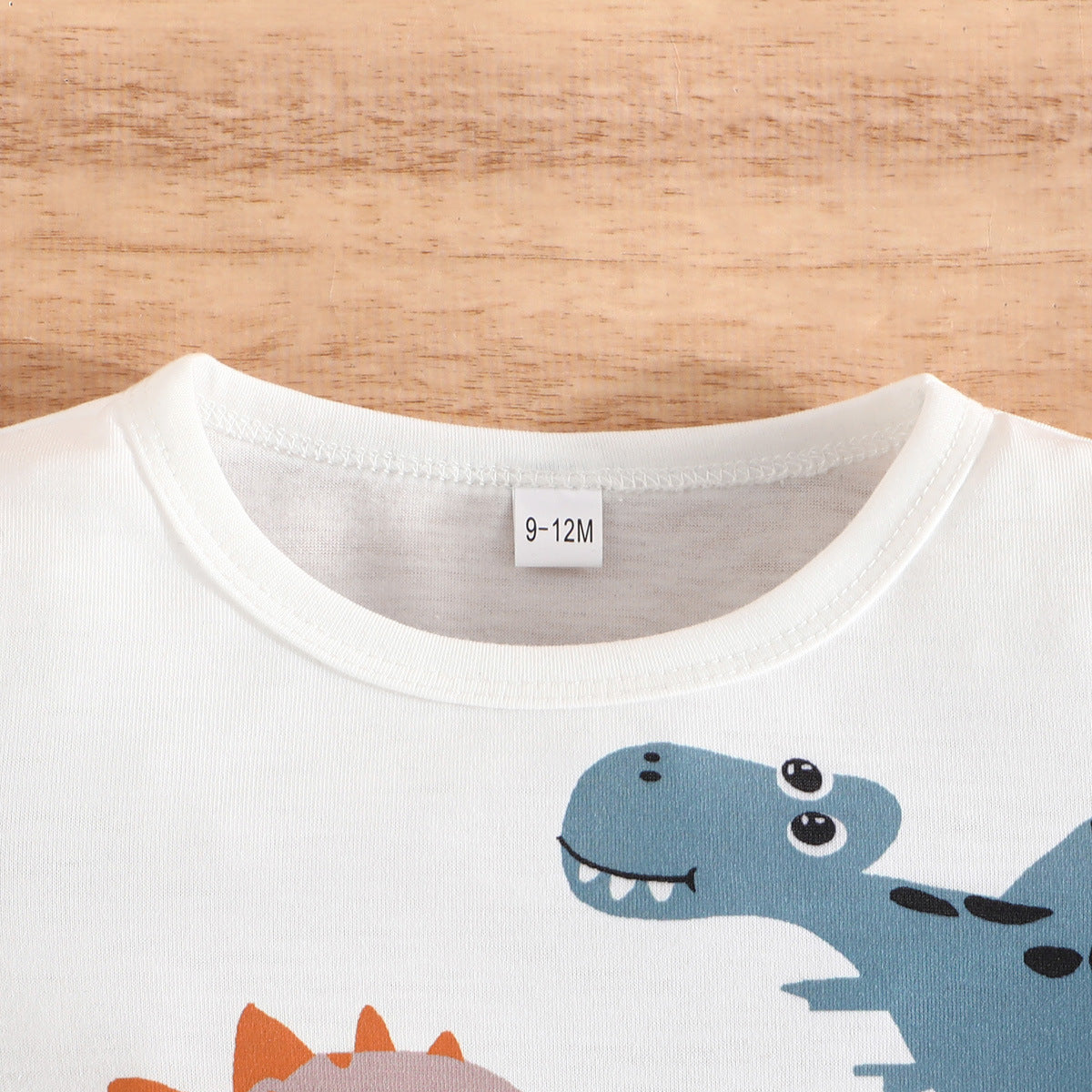 Boys Animal Printed T-shirt with Shorts
