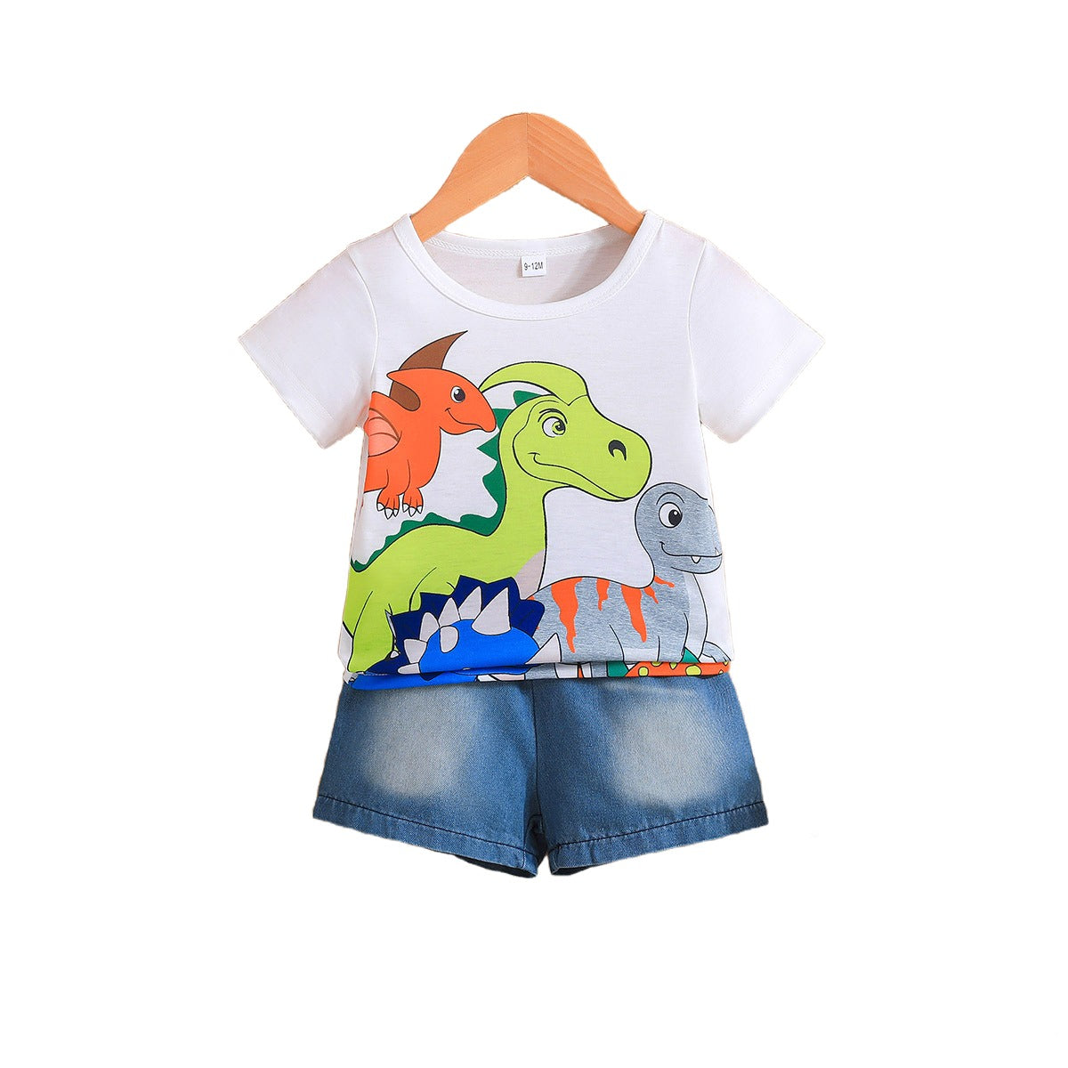 Boys Printed T-shirt with Shorts