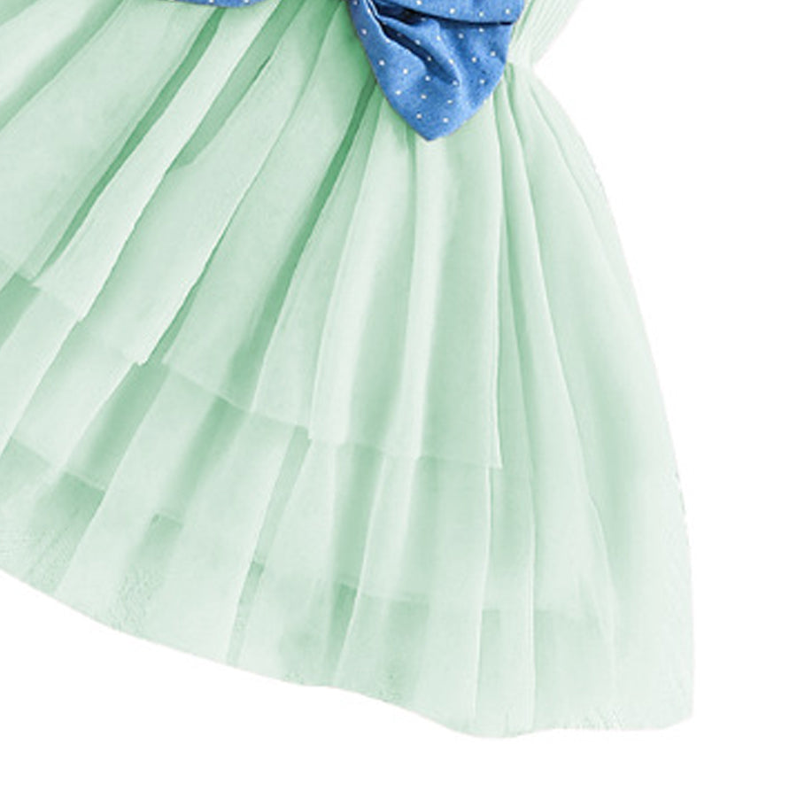 Girls Tunic With Skirt