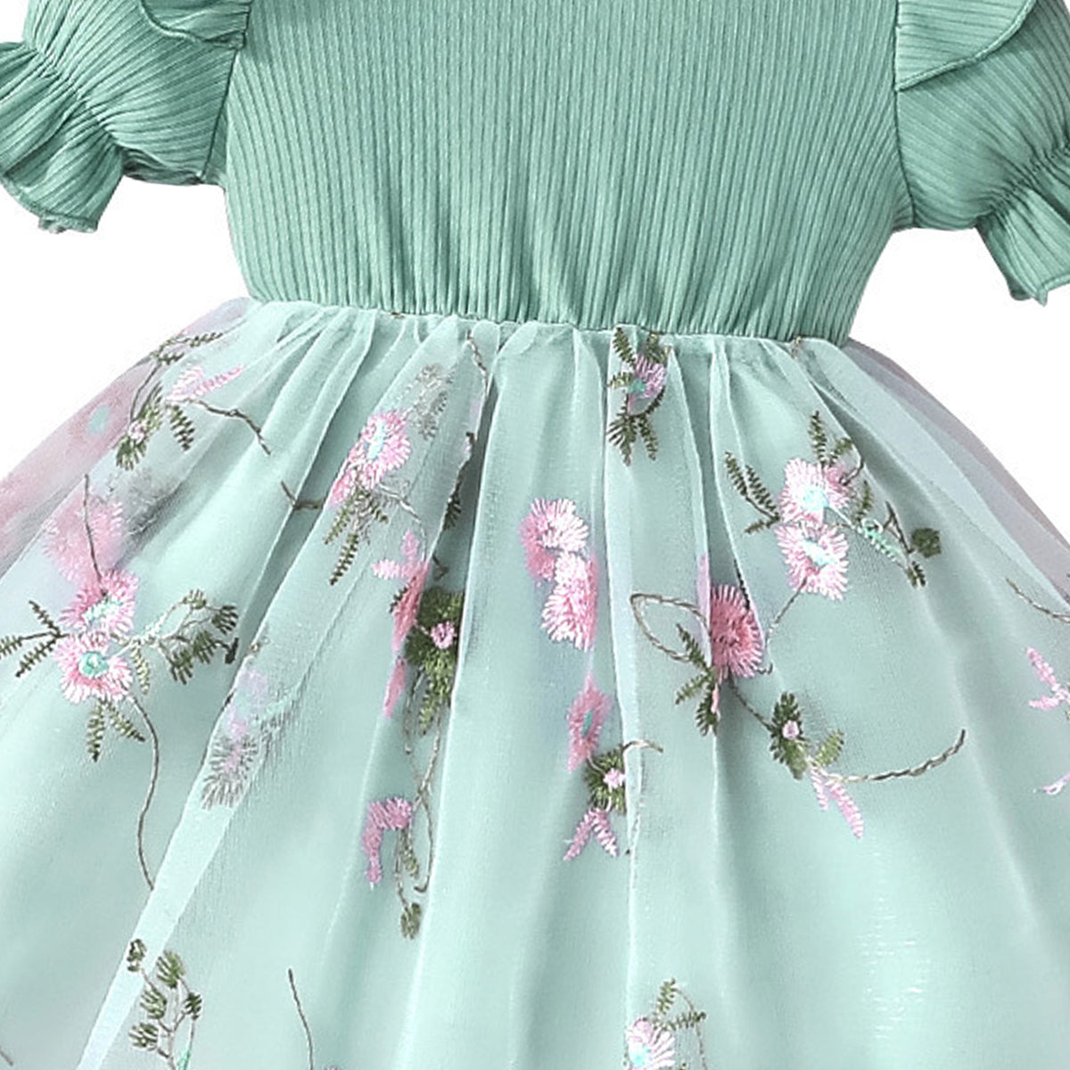 Girl Floral Embroidered  Fit and Flare Mini Dress