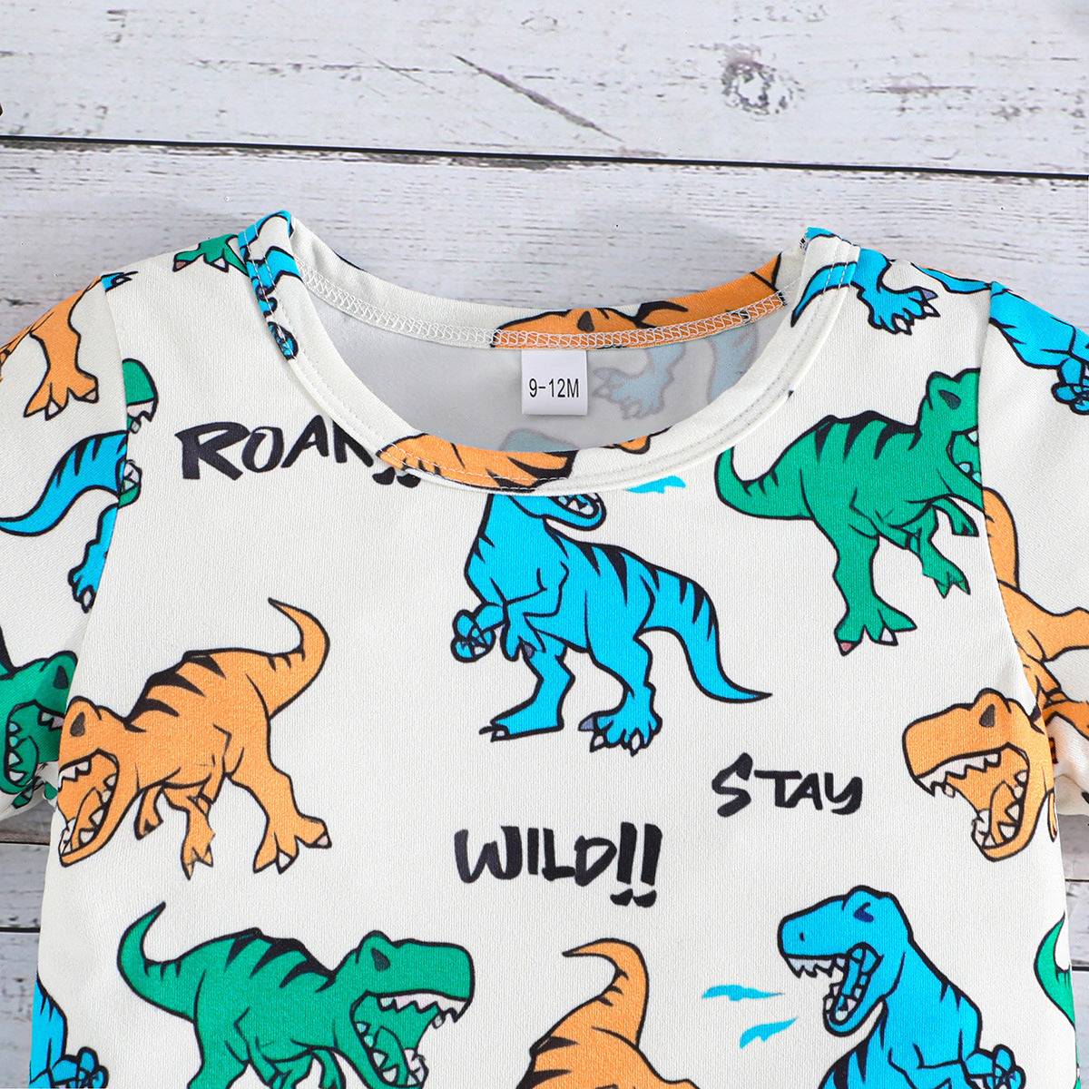 Boys Conversational Printed Top with Shorts