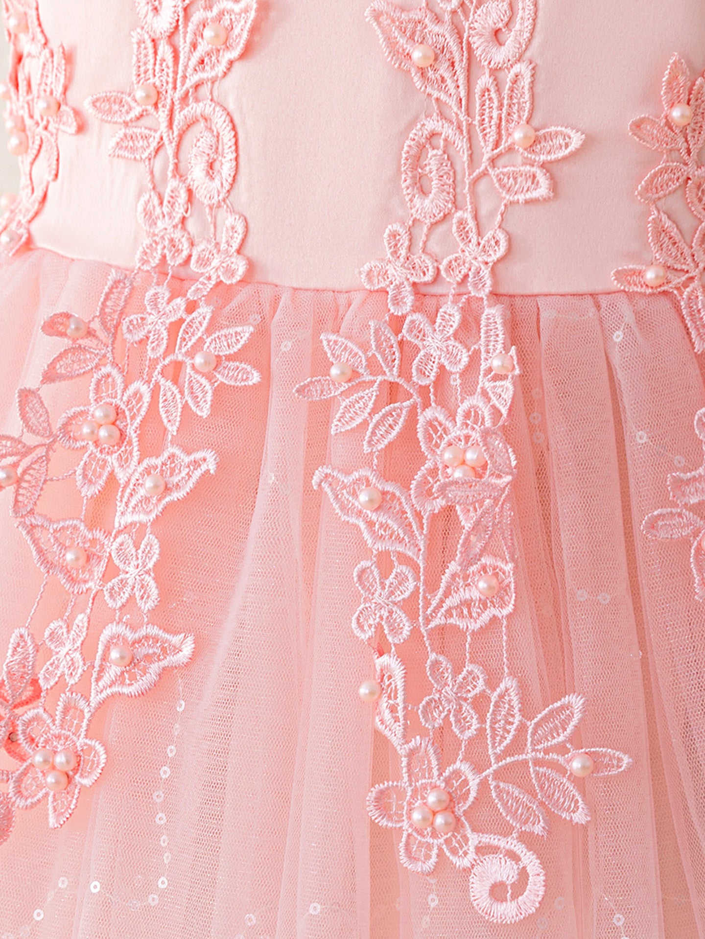 Girls Embroidered Gathered or Pleated Fit and Flare Dress
