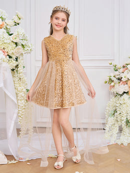 Girls Embellished V-Neck Ruffles A-Line Dress
