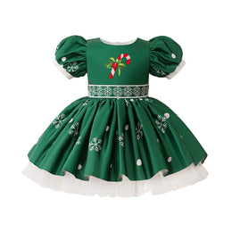 Girls Printed Puff Sleeve Fit & Flare Dress