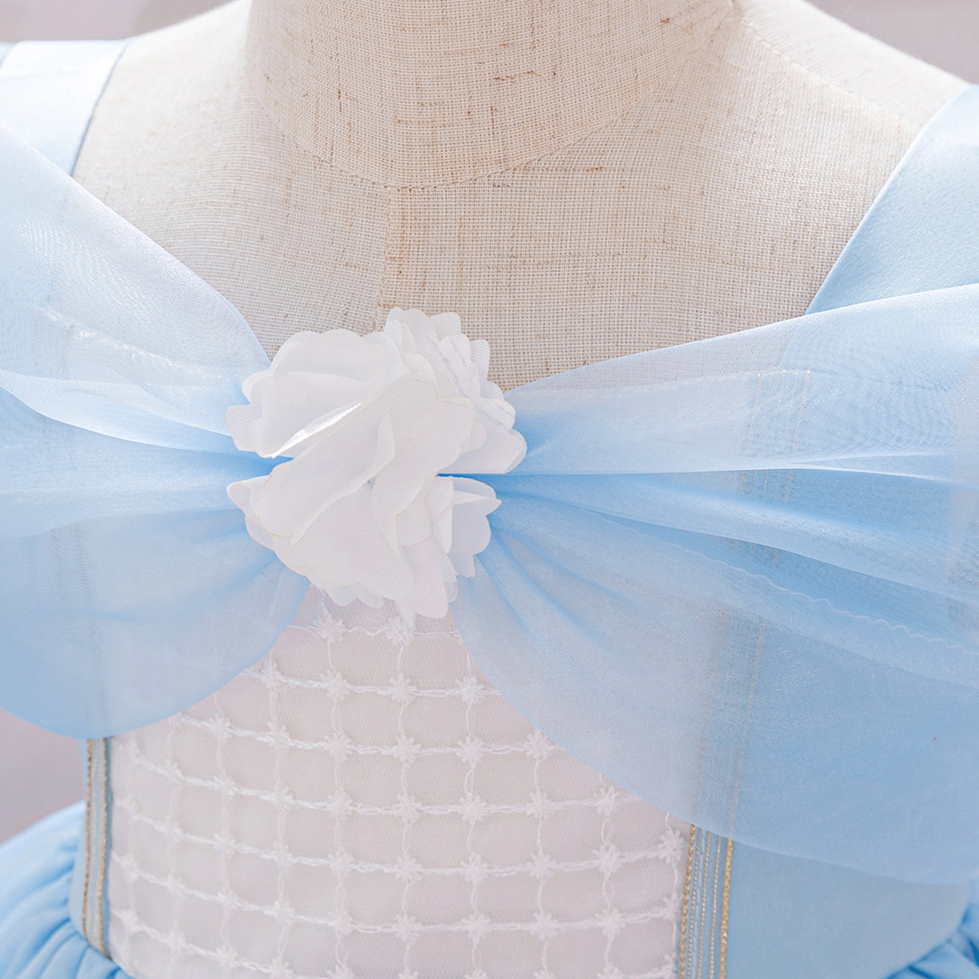 Girls Applique Net Balloon Mini Dress