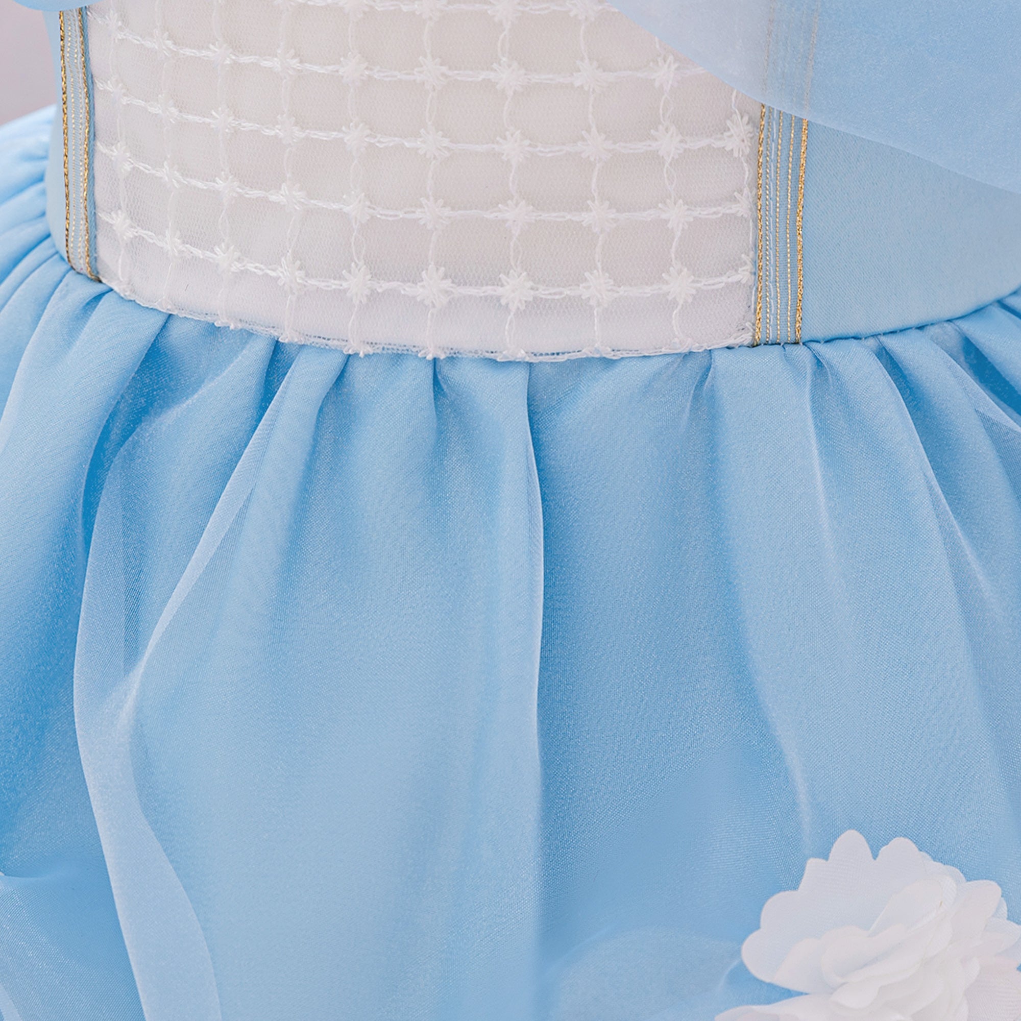 Girls Applique Net Balloon Mini Dress