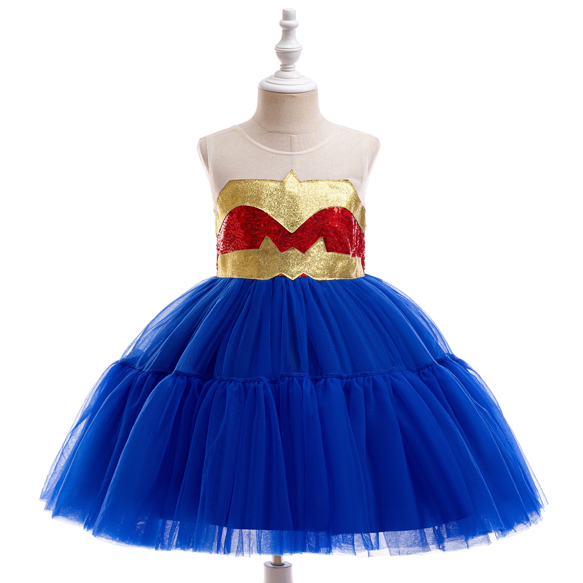 Girls Fit and Flare Dress