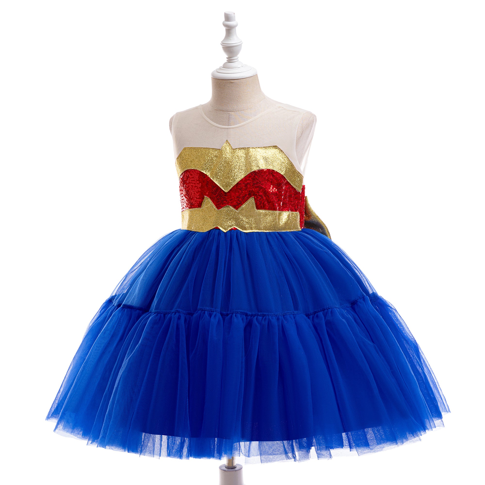 Girls Fit and Flare Dress